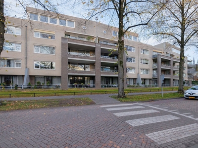 Molenbeemden 84