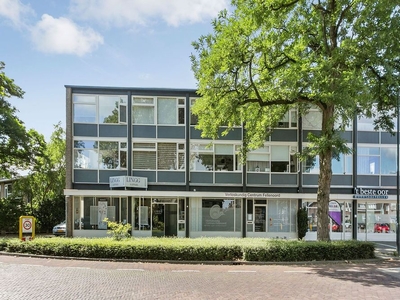 Van Voorst tot Voorststraat in Vught (37m2)