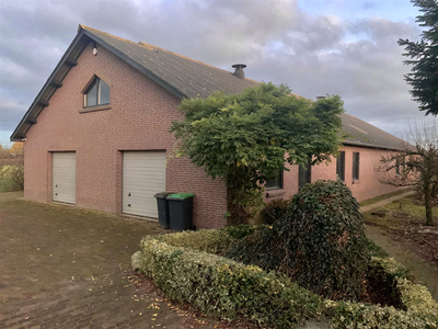 Woning te huur Beukenlaan, Odiliapeel