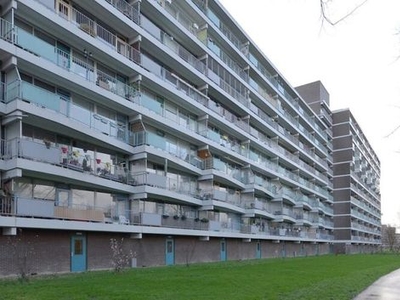 Belvédèrebos in Zoetermeer (90m2)