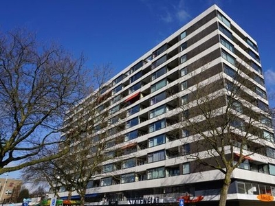 Bentinckplein in Rotterdam (61m2)