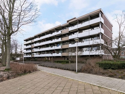 Graaf Adolfstraat in Eindhoven (100m2)