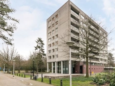 Magentahof in Tilburg (90m2)