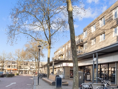 Moleneindplein 205