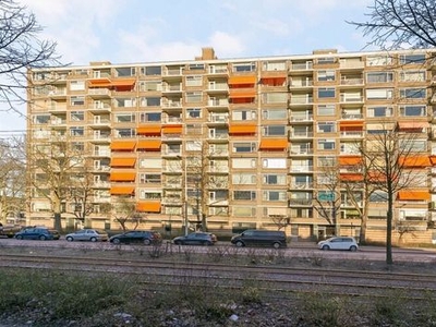 Molenvliet in Rotterdam (100m2)