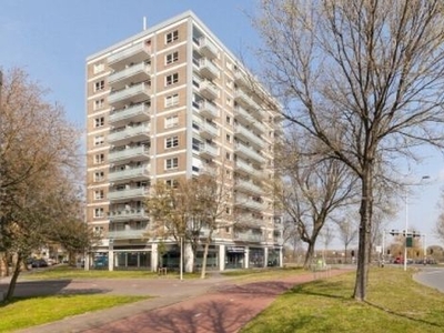 Prins Bernhardplein in Zaandam (31m2)