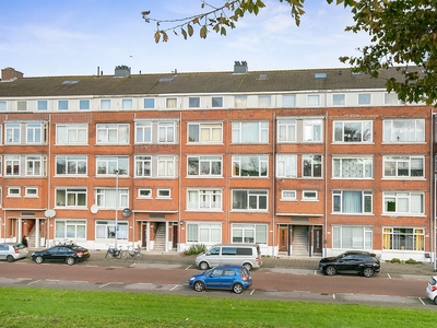 Schiedamseweg Beneden 497 b