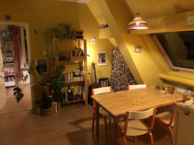 Appartement te huur Doelenstraat, Utrecht