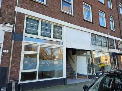 Hillevliet in Rotterdam (80m2)