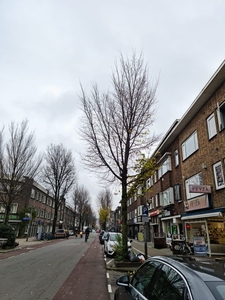 Kanaalstraat in Utrecht (35m2)