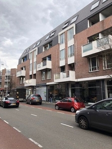 Kleine Berg in Eindhoven (93m2)