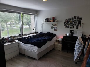 Kamer Kampakker, Eindhoven huren?