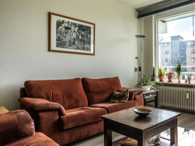 Appartement te huur Boerhaavelaan, Leiden