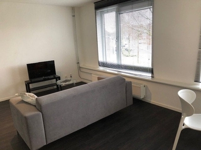 Appartement te huur Lupinestraat, Eindhoven