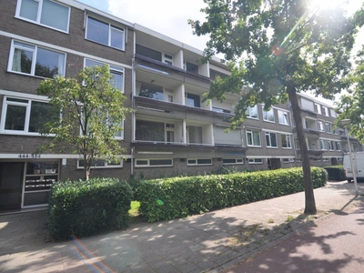 Portiekflat Veldmaarschalk Montgomerylaan, Eindhoven huren?