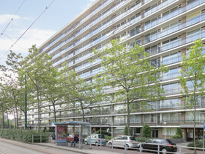 Appartement te huur in Rijswijk