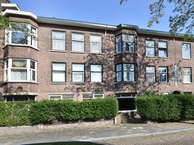 van Montfoortstraat 3