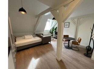 Huur 1 slaapkamer appartement van 30 m² in Haarlem