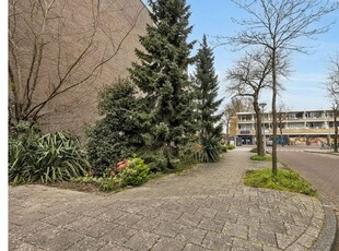 Huur 3 slaapkamer appartement van 80 m² in Amsterdam