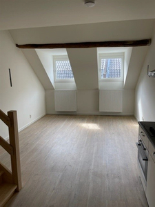 Appartement te huur Mariastraat, Maastricht