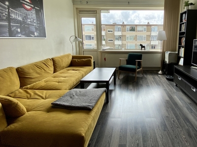 Appartement te huur Stalpaertstraat, Rotterdam