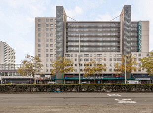 Zuidplein 368