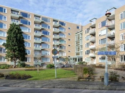 Elisabeth Brugsmaweg in 's-Gravenhage (42m2)