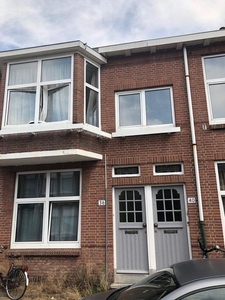 Krommedijk in Dordrecht (55m2)