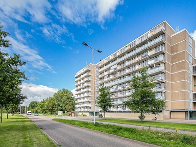 Lupinesingel in Alphen aan den Rijn (92m2)