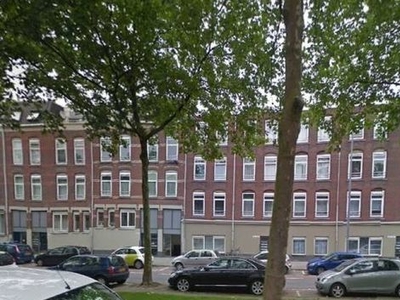 Oranjeboomstraat in Rotterdam (67m2)