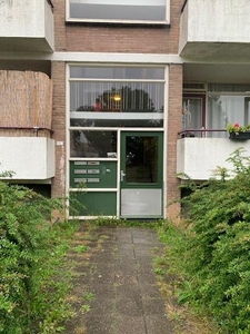 Stellingwerfstraat in Arnhem (65m2)