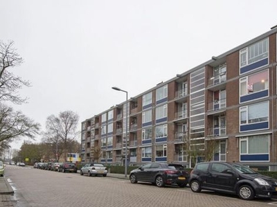 Vegelinsoord in Rotterdam (64m2)