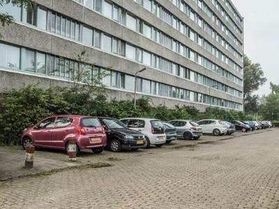 Zangvogelweg in Amersfoort (103m2)