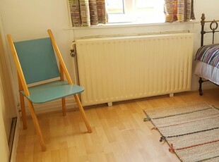 Appartement in Leiden met 2 kamers