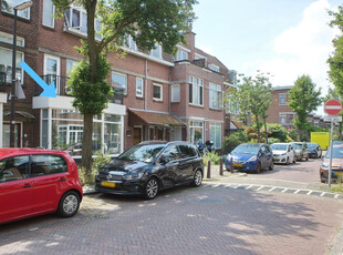 Tulpstraat 154