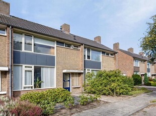 Vogelliusstraat 11, Sint