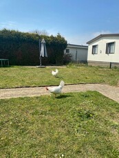 Woonhuis in Oss met 2 kamers