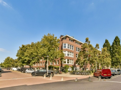 Bloys van Treslongstraat 24 3