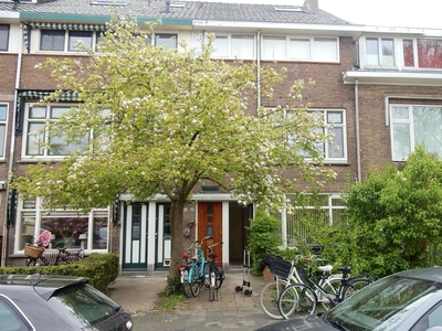 Boeroestraat 42 B