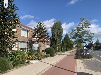 in Zwijndrecht (52m2)