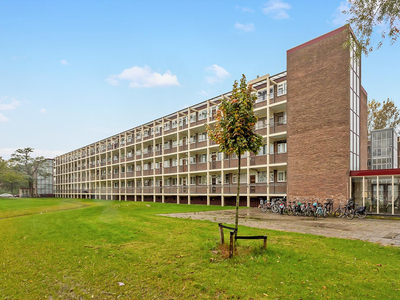 Krabbendijkestraat 444