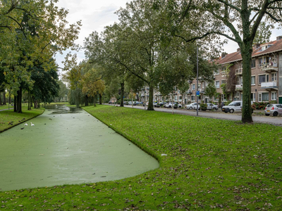 Lepelaarsingel 139A