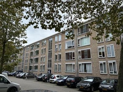 Samuel Morsestraat in Den Bosch (81m2)