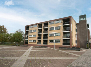 Molenakkerplein 45