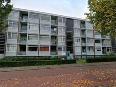 Appartement te huur in Den Haag