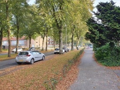 Apartment te huur in Tilburg