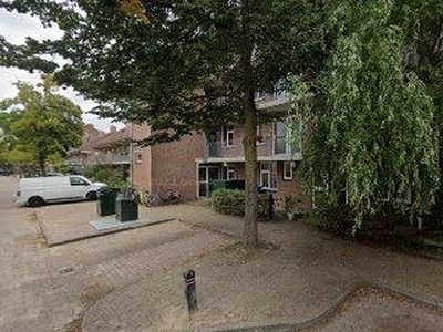 Galerijflat Westkade, Huizen huren?