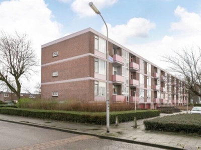 Domela Nieuwenhuisstraat in Nijmegen (59m2)