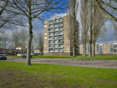 Zuidervaart in Zaandam (63m2)