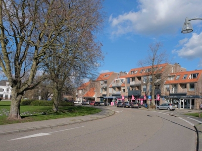 Almelo - Lisdodde